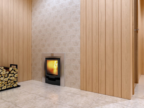 Печь банная Теплодар РУСЬ-СЕТКА-25 Л Панорама